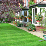 Plants: image 2 0f 8 thumb