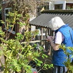 Plants: image 3 0f 8 thumb