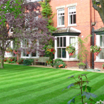 Plants: image 4 0f 8 thumb