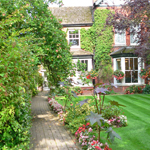 Plants: image 7 0f 8 thumb