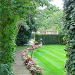 Plants: image 8 0f 8 thumb